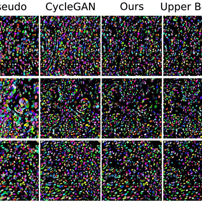Microscopy Image Segmentation via Point and Shape Regularized Data Synthesis