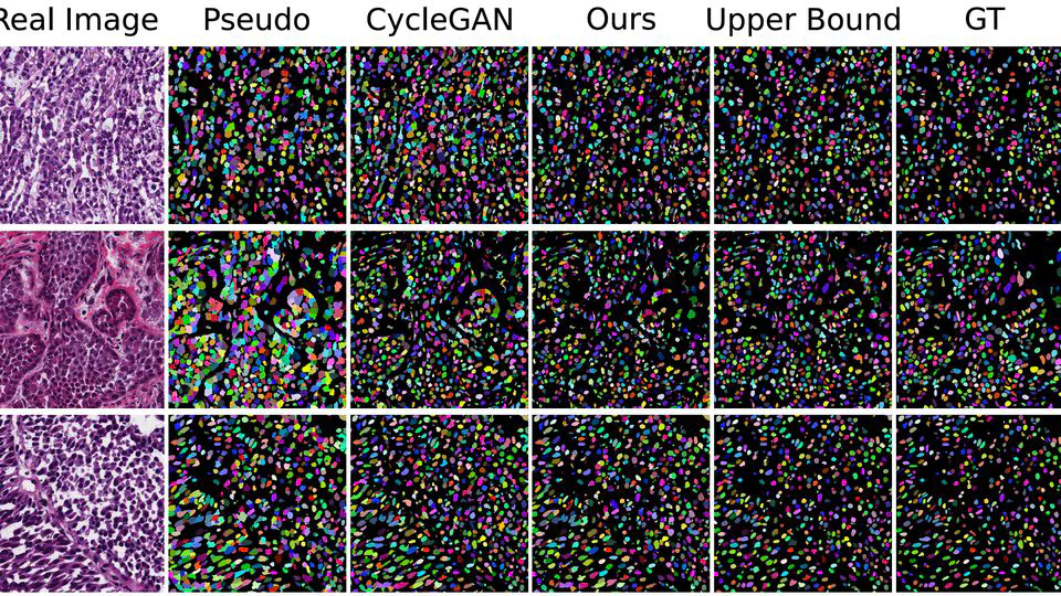 Microscopy Image Segmentation via Point and Shape Regularized Data Synthesis